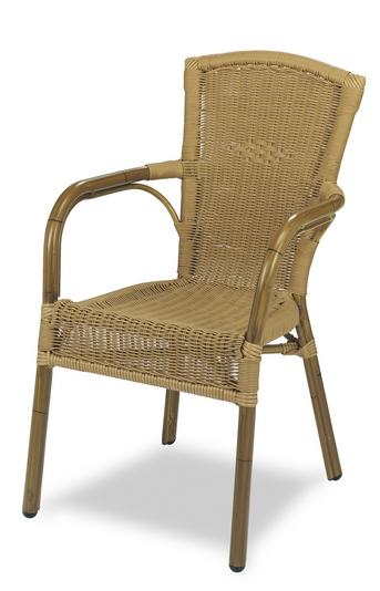 Imagen Sillón Armazón tubo de aluminio Plastificado, asiento y respaldo
